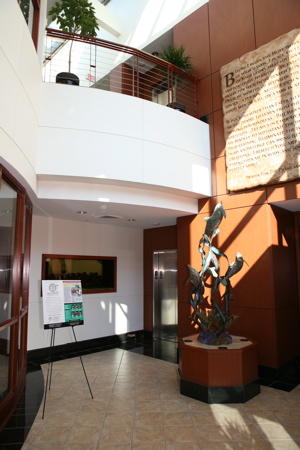 Center for Advanced Medicine