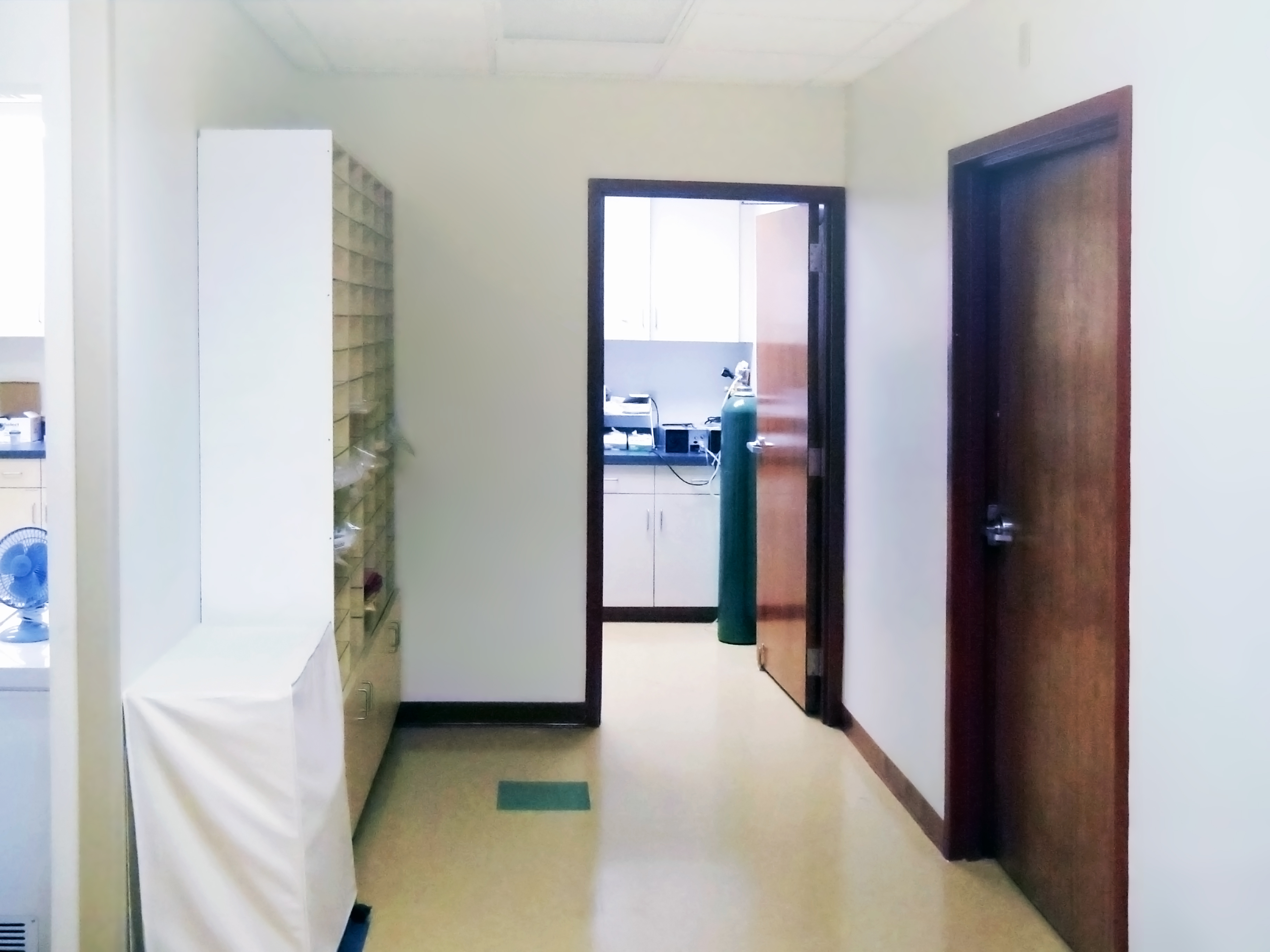 Nursing
