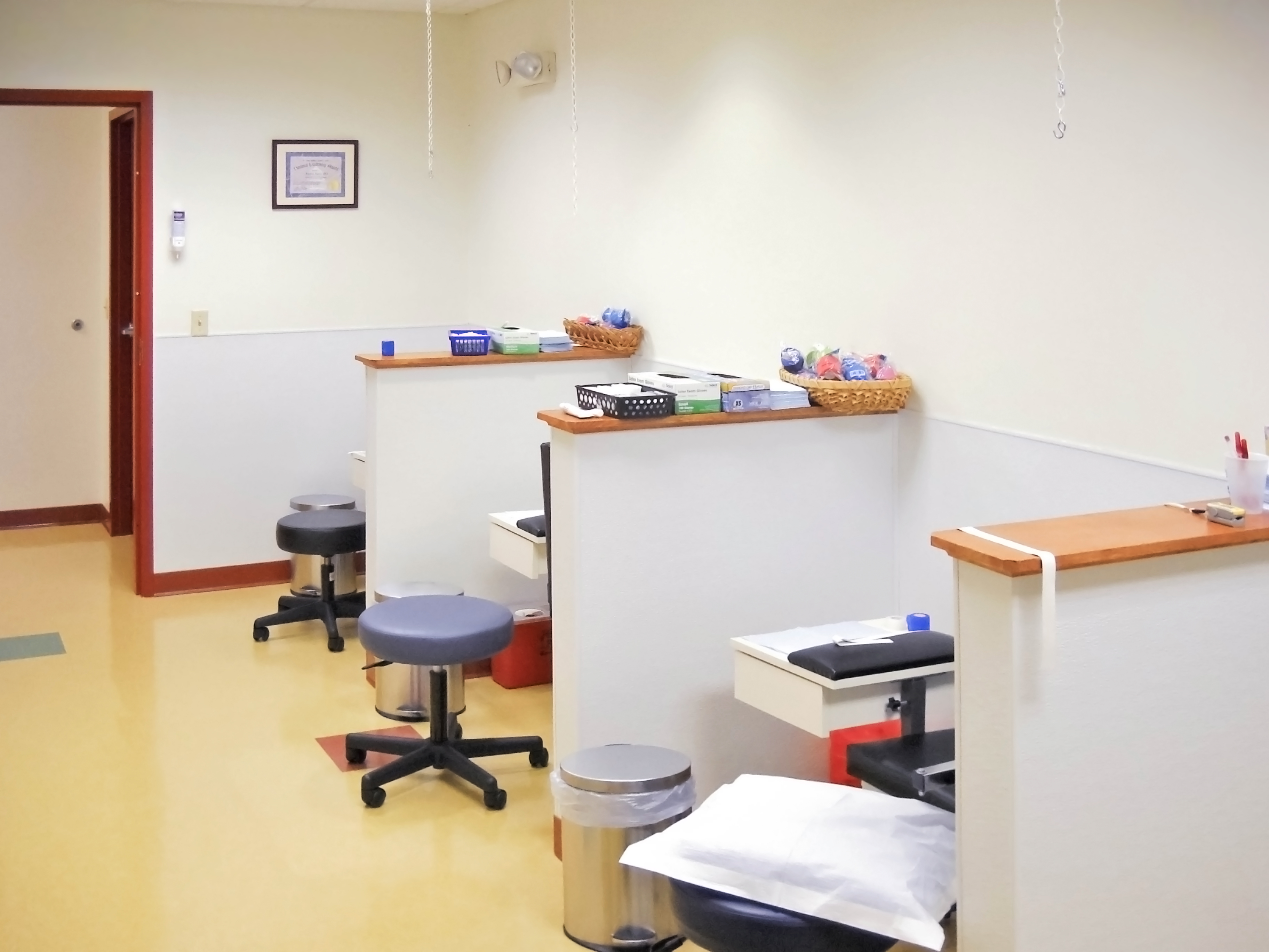 IV Area