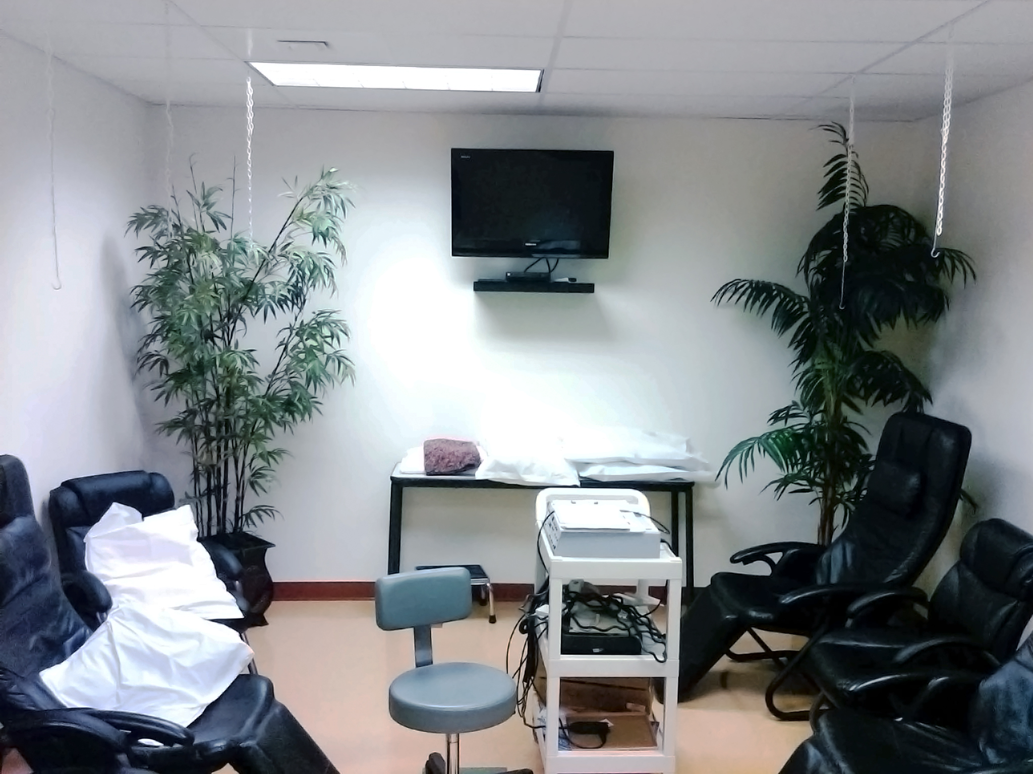 IV Suite